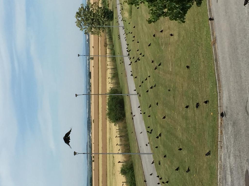 Birdland Villapark Golf View Bük 외부 사진