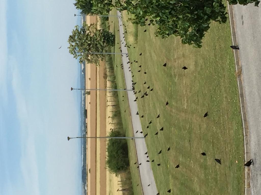 Birdland Villapark Golf View Bük 외부 사진
